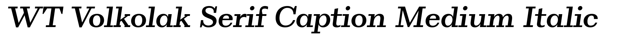 WT Volkolak Serif Caption Medium Italic image